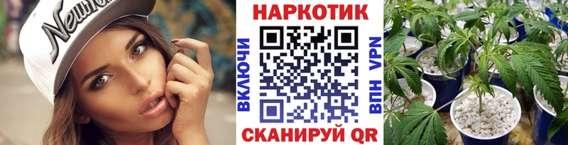 Виды наркоты Кодинск Каннабис  A-PVP  Меф мяу мяу 