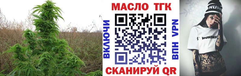 магазин продажи наркотиков  Кодинск  ТГК THC oil 